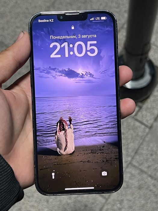iPhone 13 pro max