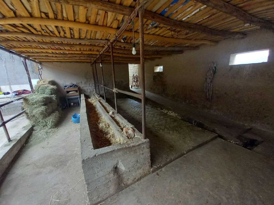 Ферма сотилади! Тошкент туманида (ориентир Сарке махалла)