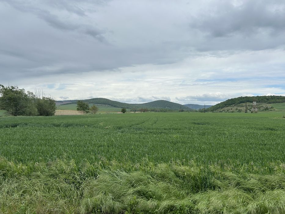 Casă bătrânească + teren 2900 mp în Slava Rusă, Tulcea
