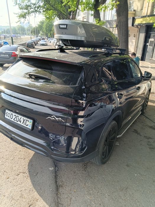 Other Song Pro DM-i Champion 2024 — 3