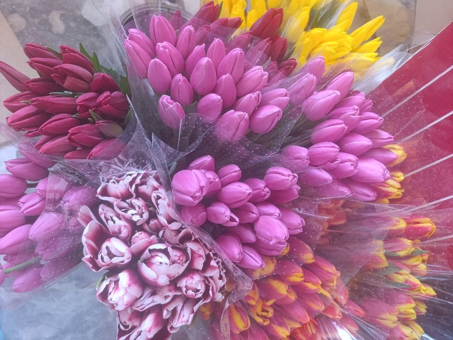 Тюльпаны на 8 марта