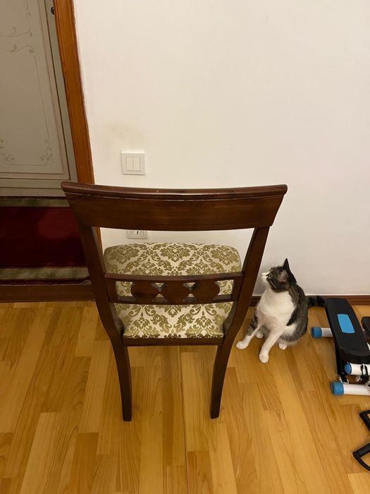 Продам стулья из массива дерева