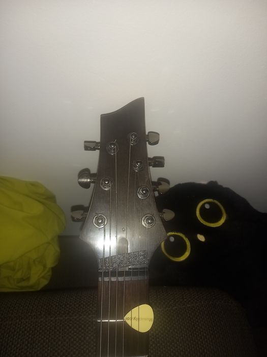 Электрогитары shecter.