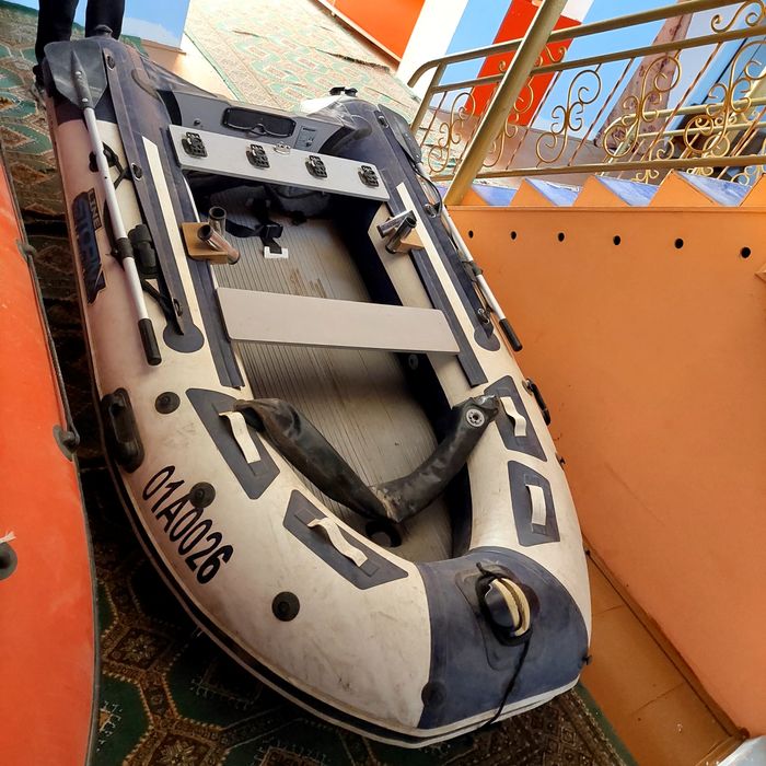 Lotka sotiladi kareski