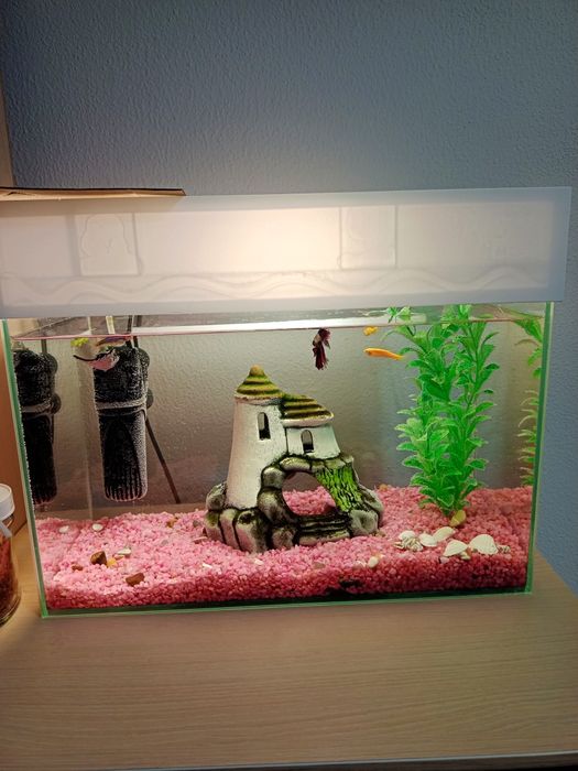 Продам аквариум с рыбками