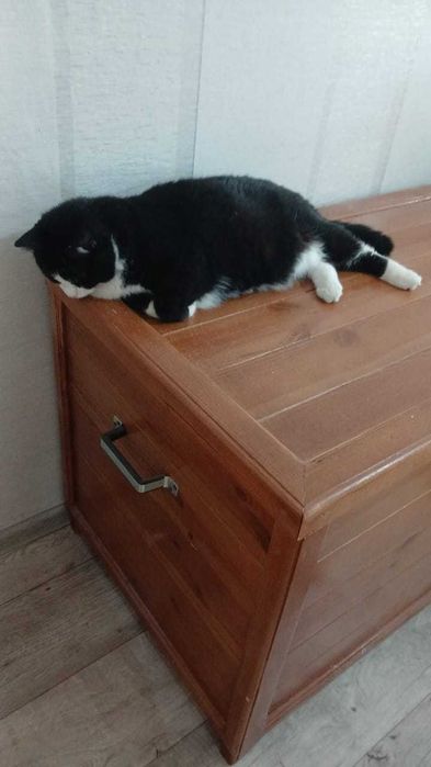 Продам сундук не дорого
