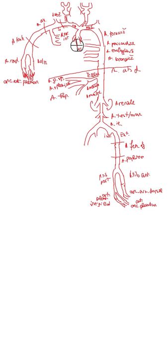 Meditatii biologie admitere Medicina Bucuresti/ Brasov