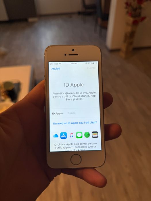 iPhone 5s Gold Functional