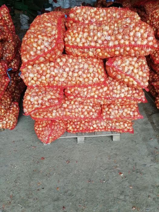 Продавам Арпаджикова Балучка