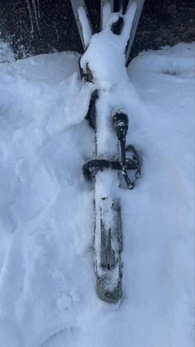 Прицеп легковой, коневозка