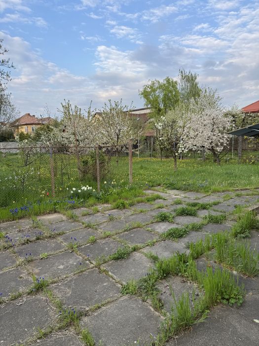 Casa individuala 170mp utili ,teren 900 mp -zona Parcul  Sub Arini