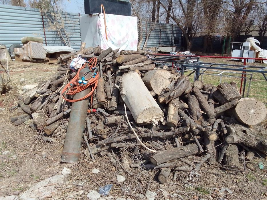 Кесілген ағаштар. Распилинные дрова