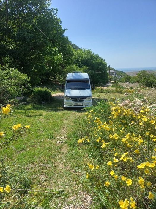 Коллективные перевозки.