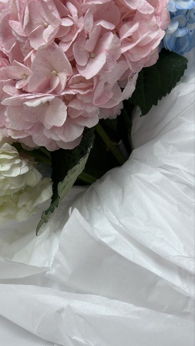 Свежий гүл мүлдем уайымдамаңыз