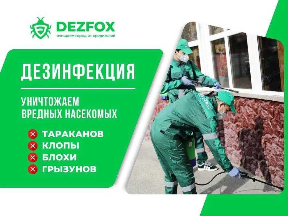Дезинфекция 40% Dezinfeksiya klop tarkan ilon клопы тараканы DEZINFEK