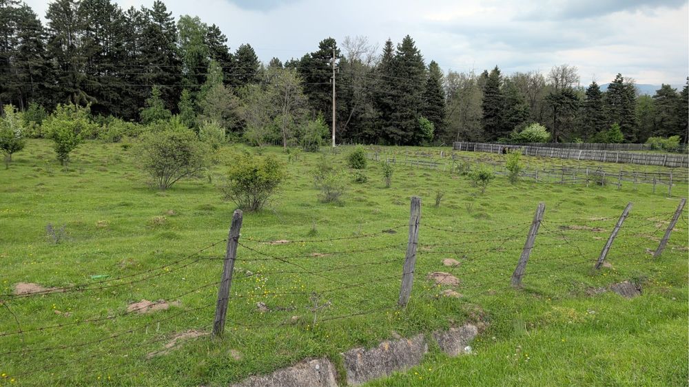 Doua Terenuri de vanzare Campulung Muscel si Bughea de Sus 3600/3300 mp pretabile casa/ investitie