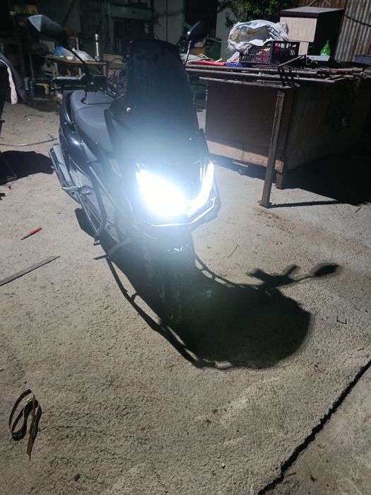 Moped tigir 2026