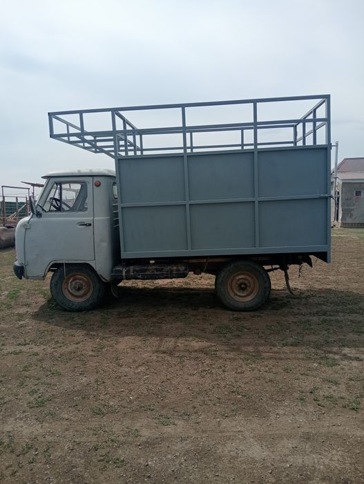 Борт заказға жасаймыз