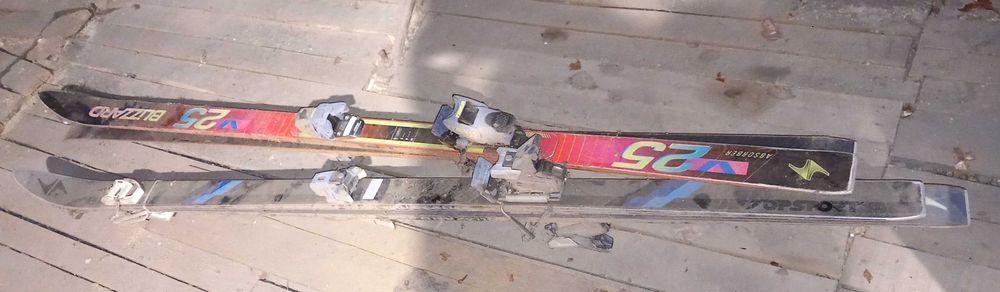 Schiuri primite din Germania