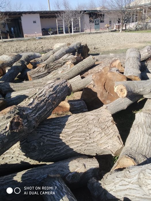 Ёнгок танаси сотилади 17 куба