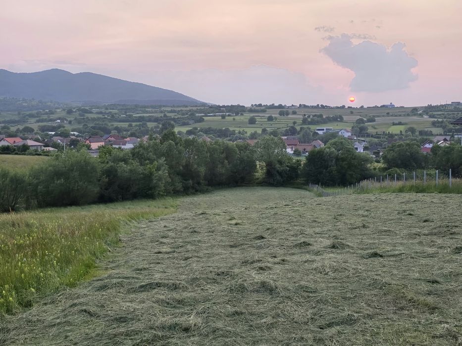 Teren localitatea rasinari.