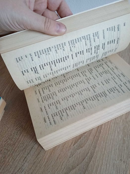 Lot carti ghiduri conversatie studiu Limbi straine dictionar poliglot