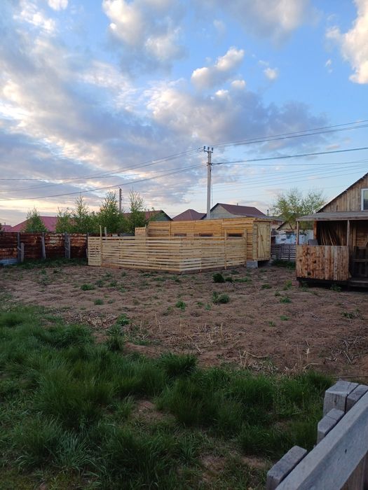 Продам деревенские  яйца