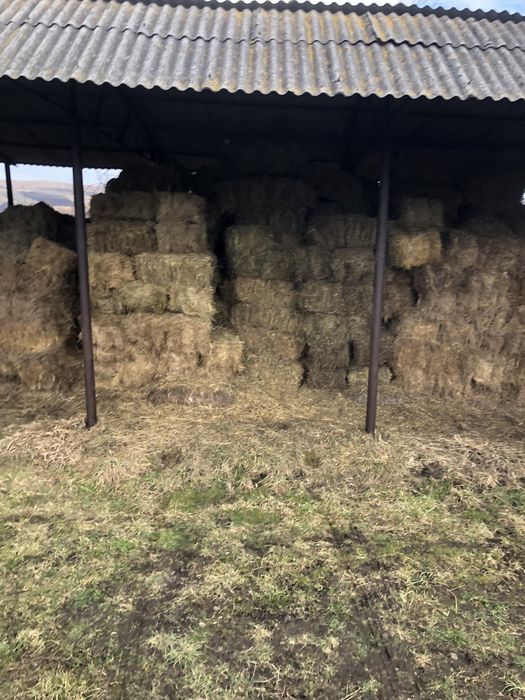 Baloti de fân ( semanatura si fân de coasta)