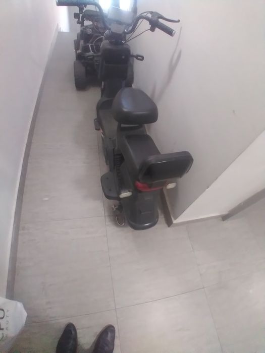 Skutor sotiladi srochno