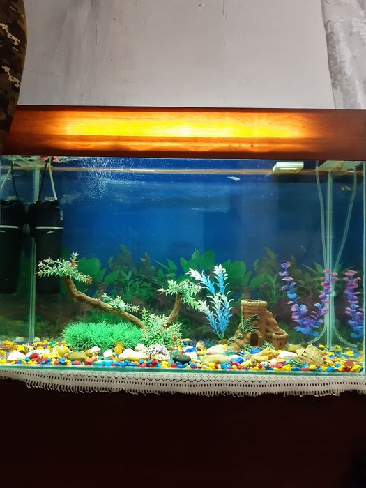 Аквариум 120 литров