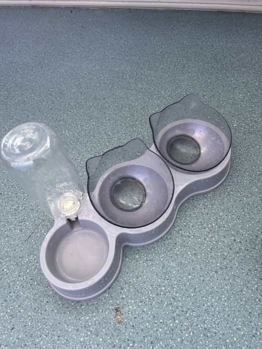 Автокормушка для кота