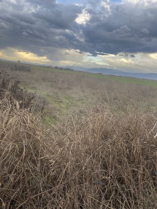 Продава се Парцел в Пловдив, Индустриална зона - Юг - 3000 кв.м за 15 €/кв.м - Снимка #2