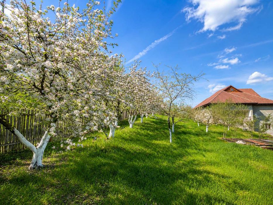 Vilă cu 5.000 mp de teren, livadă și deschidere spre natură  - Bărbătești
