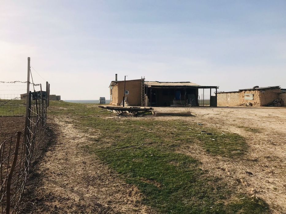 Кора сатылады жайылымдық жерімен