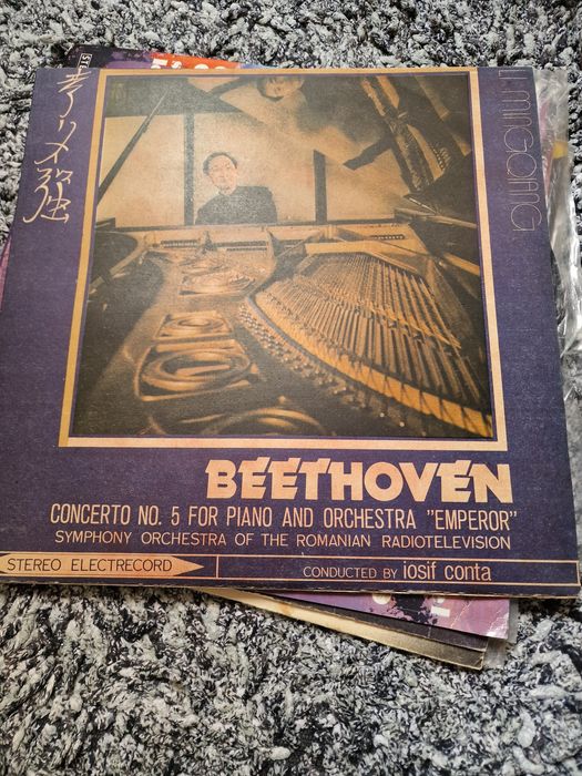 Discuri vinil diverse