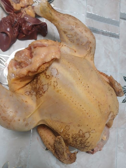 Домашние куры  тушки