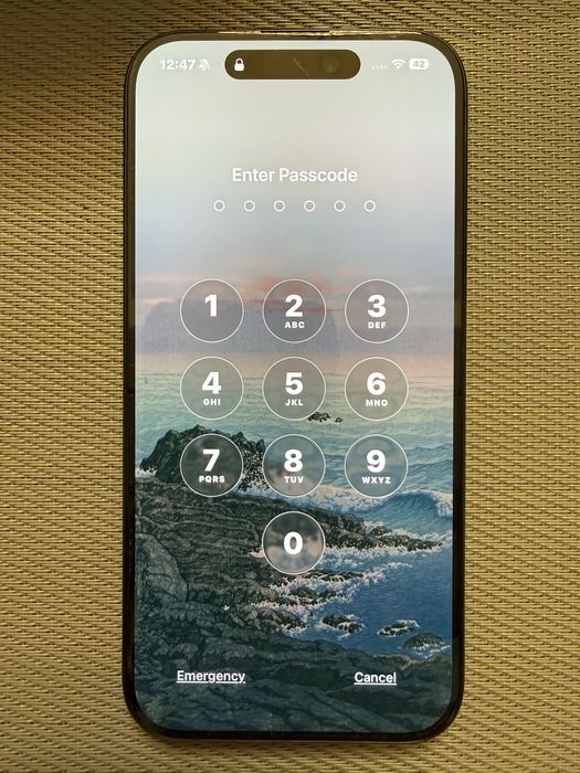 IPhone 15 Pro 256 two SIM