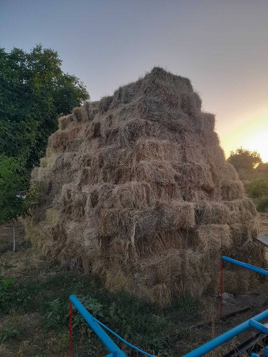 Бали сено продавам