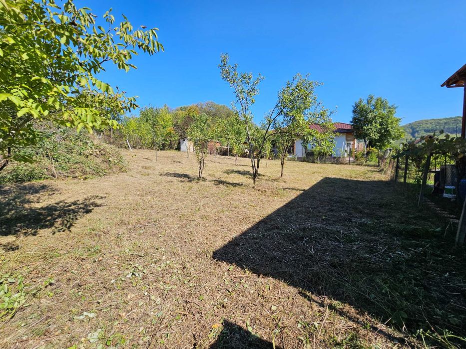 Teren si cabana de vacanta de vânzare in Fedelesoiu la 60.000
