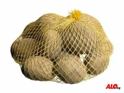 Рашел чували плетени гаци