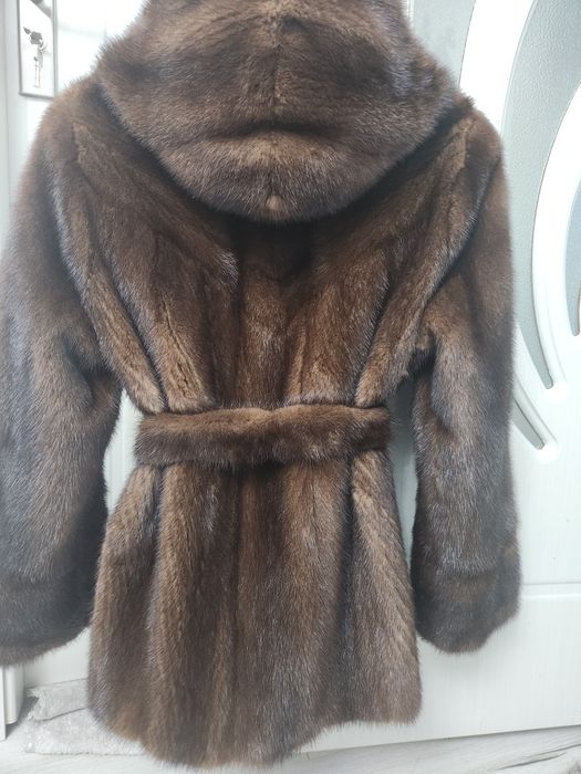 Haina  scurta de vizon