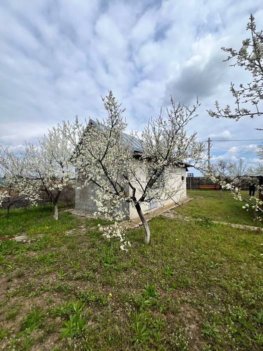 Casa sat Cojesti jud Calarasi