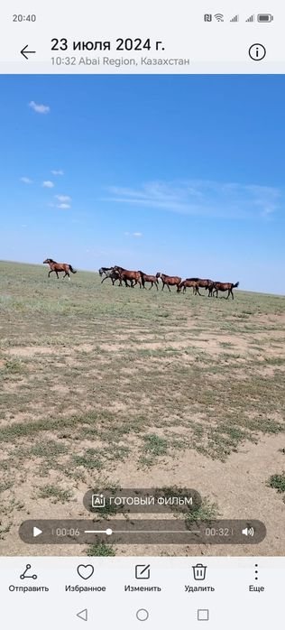 Продаётся табун лошадей