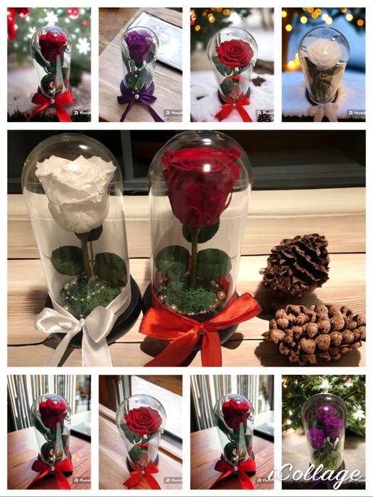 Cadou trandafir criogenat in cupola