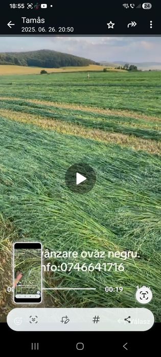 Shimba locatia semi siloz ovăz negru si lucernă