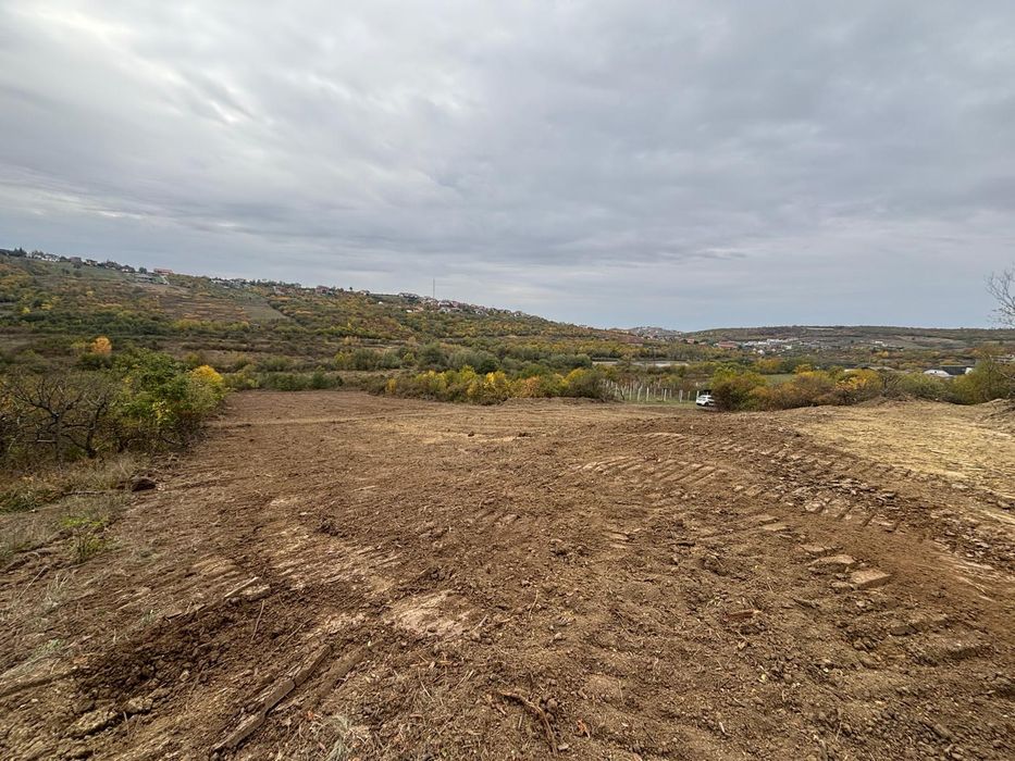 Parcele 665mp si 1000mp. Okazie  Saldabagiu de Munte