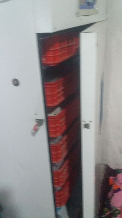 Inkubato 528 ta tuxum ochadi