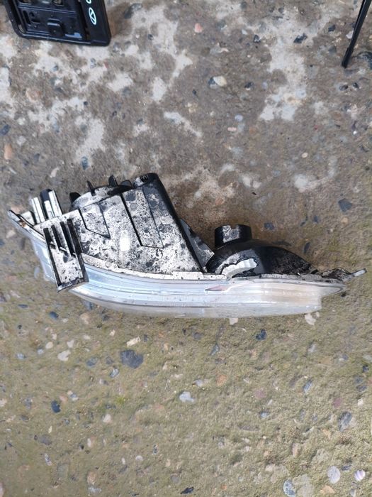 Jentra padfarnik (chap tomon)