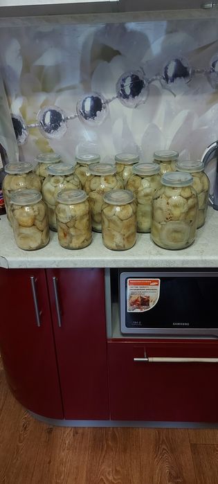 Продам грибы маринованные