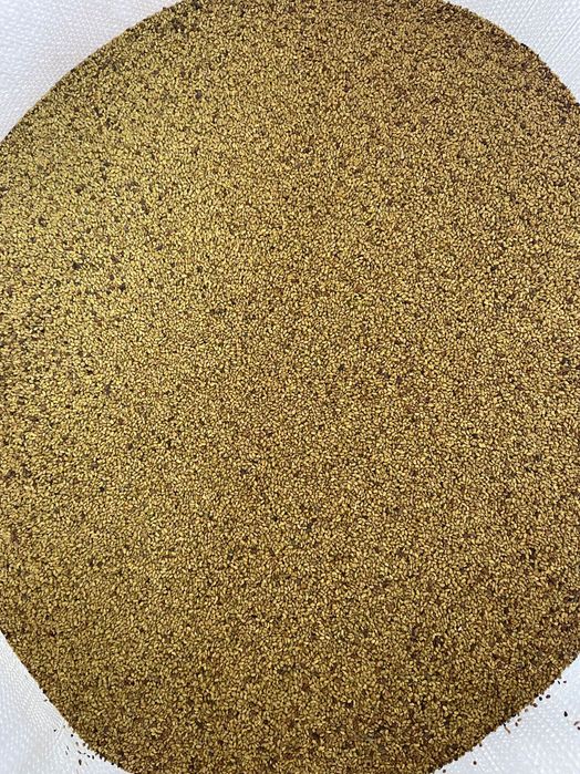 семе люцерна 2025